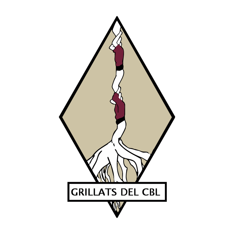 Grillats del Campus del Baix Llobregat