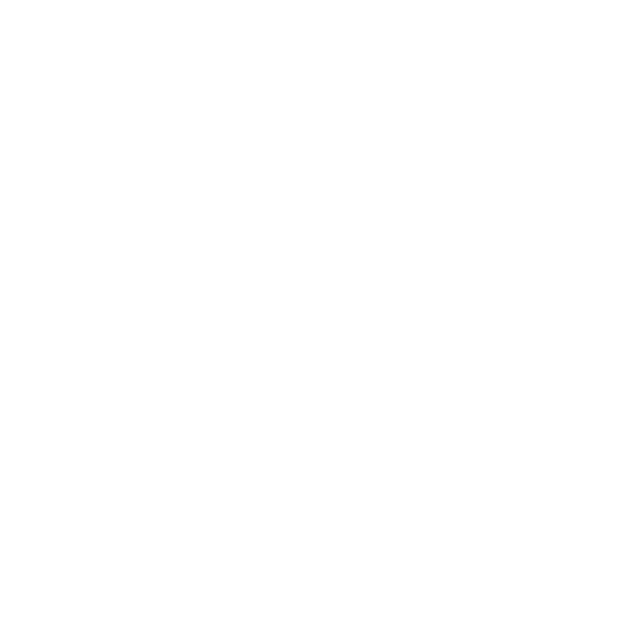 Llunàtics de l'EPSEVG